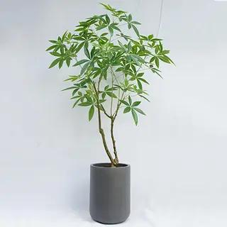Artificial Malabar Chestnut 150 CM
